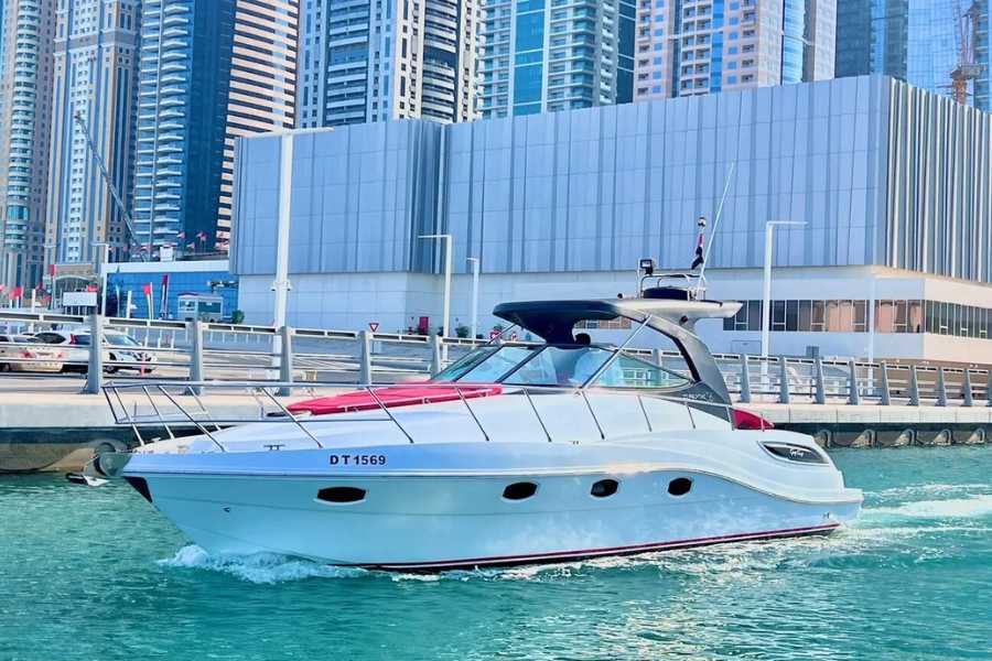 Đi du thuyền trên Vịnh Ba Tư