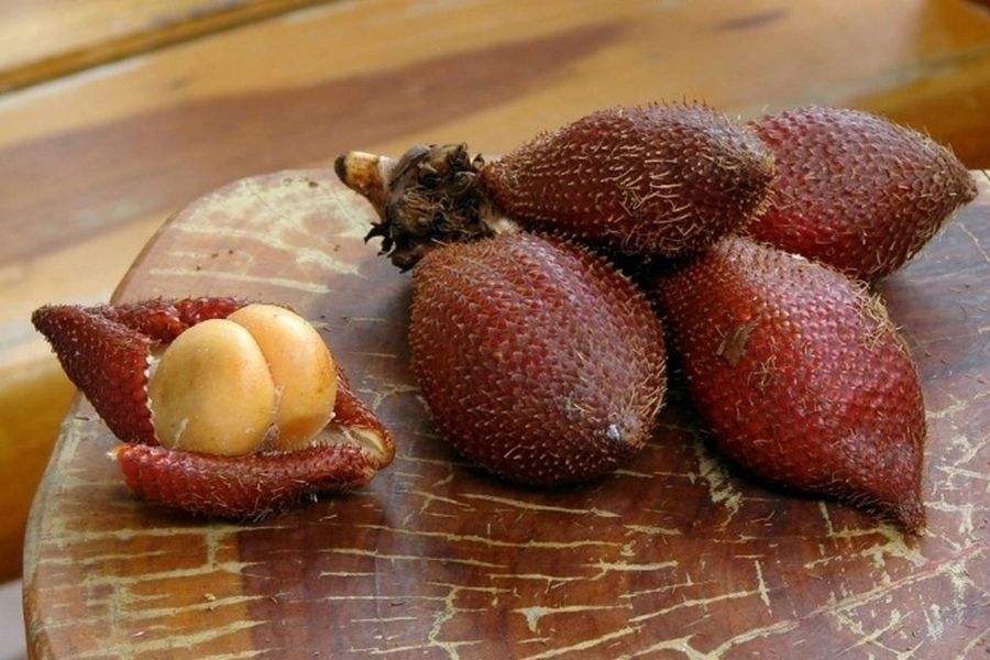 Trái mây món quà ý nghĩa từ Campuchia