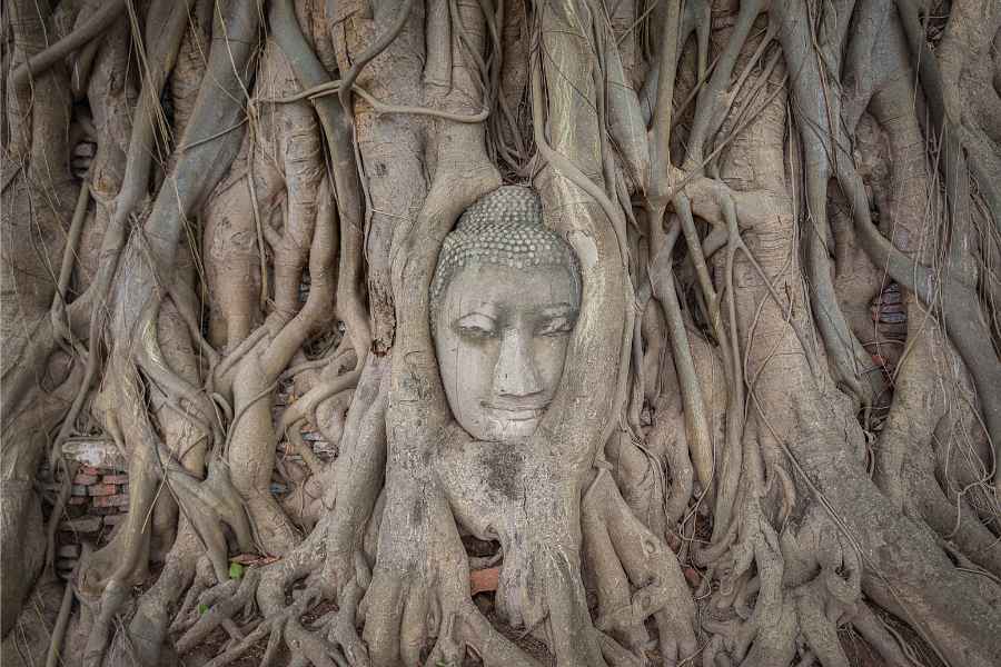 Kinh nghiệm du lịch ayutthaya