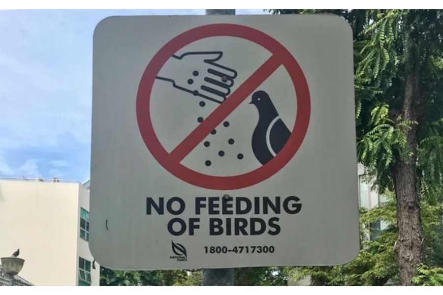 Những điều cấm kỵ ở Singapore vi phạm pháp luật tuyệt đối nên tránh