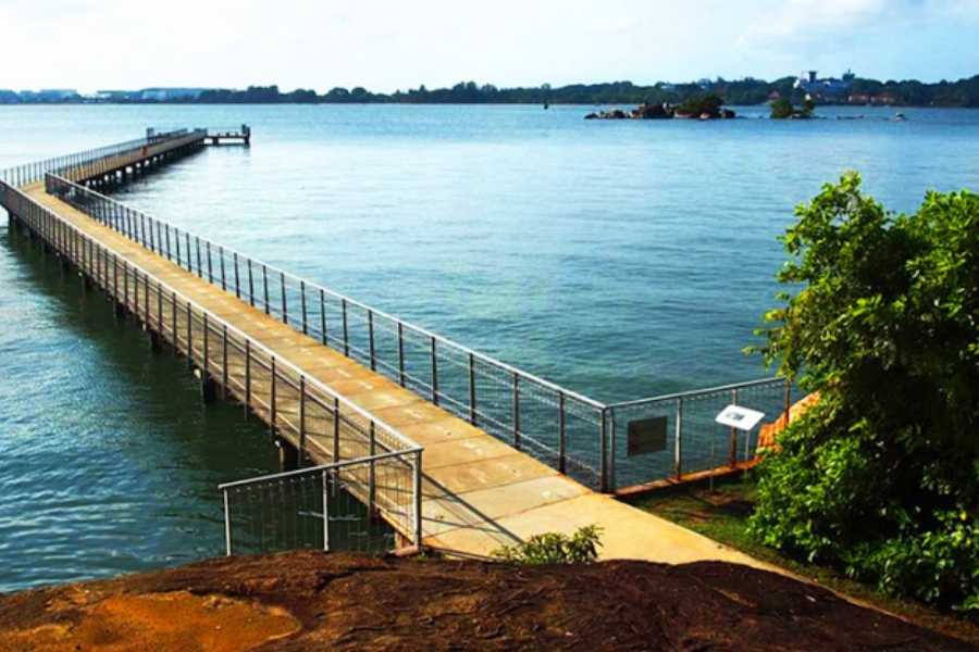 Đảo Pulau Ubin ở đâu? Vì sao lại đặc biệt đến vậy?