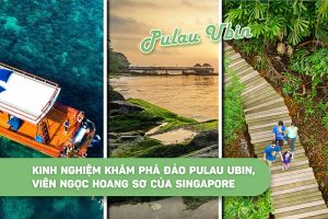 Kinh nghiệm khám phá Đảo Pulau Ubin, viên ngọc hoang sơ của Singapore