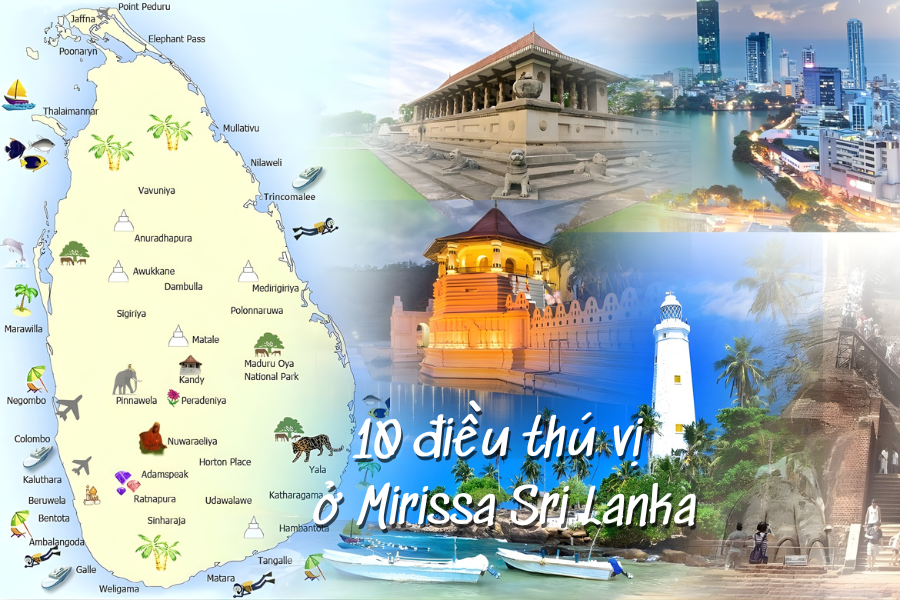10 điều thú vị ở Mirissa Sri Lanka