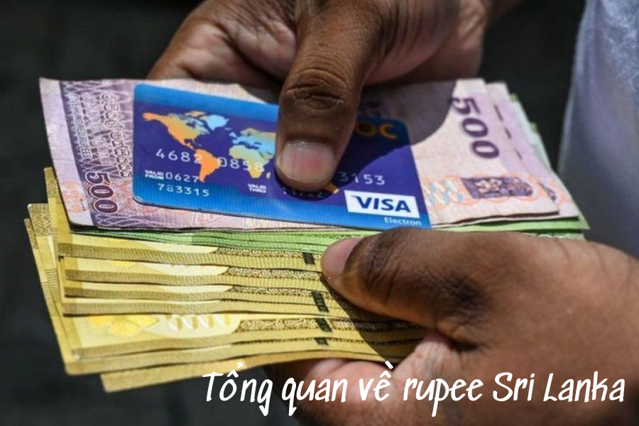 Tổng quan về rupee Sri Lanka